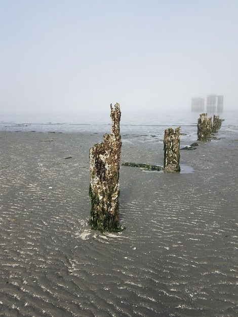 A depiction of climate change impacts, like rising sea levels and extreme weather events, impacting coastal NATO member states.