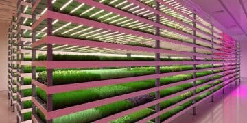 Vertical Farming: A Data-Driven Look at US Food Security - Cover Image