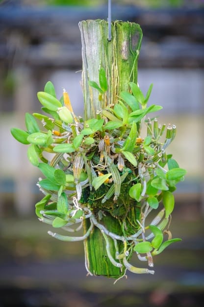 A close-up of a hydroponic system in a vertical farm, showing plant roots suspended in nutrient-rich water with LED grow lights above.