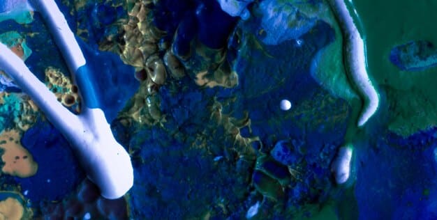 Ocean Acidification: Coral Reefs’ Decline in the Next 5 Years