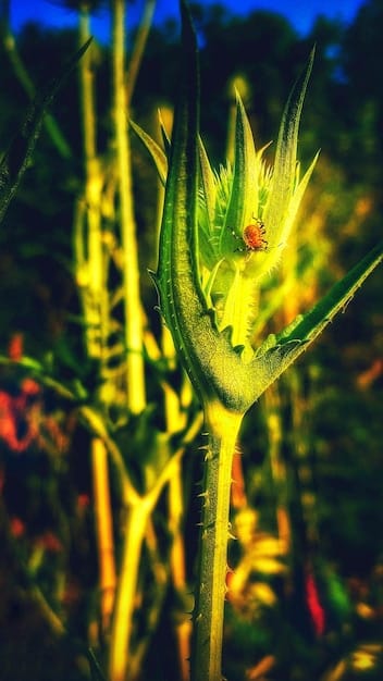 CRISPR Revolution: Genetic Engineering in US Crop Production