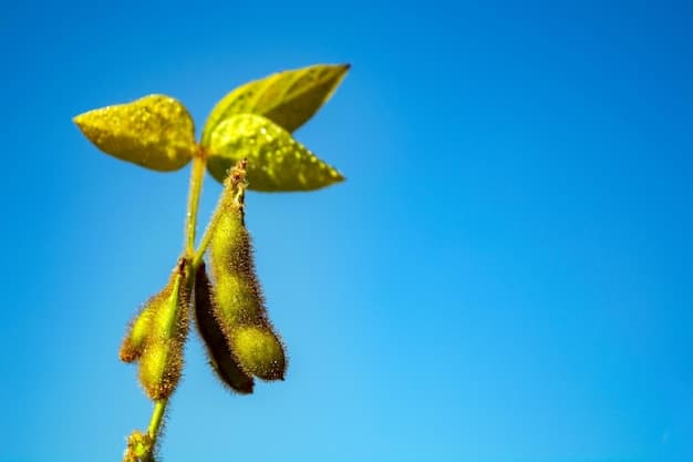 A split-screen visual comparison of two soybean plants: one genetically engineered with CRISPR to resist drought conditions, thriving in arid soil, and another non-engineered plant, withered and struggling in the same conditions, demonstrating the effectiveness of CRISPR in enhancing crop resilience.