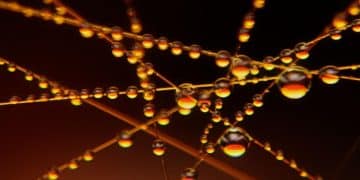 Ethical Gene Editing: Societal Concerns and Scientific Implications - Cover Image