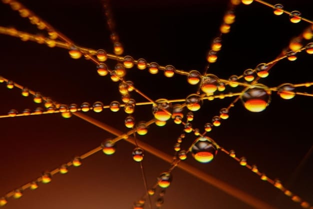 Ethical Gene Editing: Societal Concerns and Scientific Implications