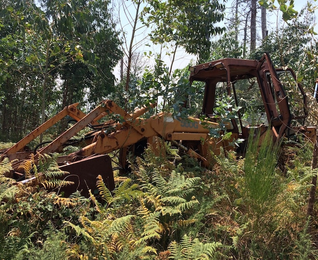 A close-up view of a bulldozer clearing a section of the Amazon rainforest, with freshly cut trees and exposed soil in the foreground.