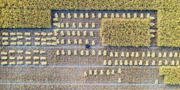 Sustainable Agriculture: Producing More Food, Less Impact - Cover Image