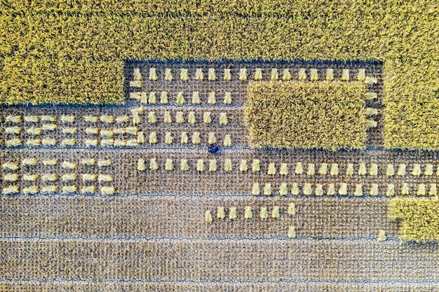 Sustainable Agriculture: Producing More Food, Less Impact