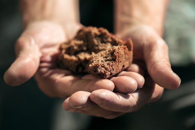 A close-up of a farmer's hands holding soil, showing healthy soil structure and organic matter. The soil is teeming with earthworms and other beneficial organisms, indicating a thriving soil ecosystem.