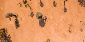 US Strategy to Combat Terrorism in the Sahel Region - Cover Image