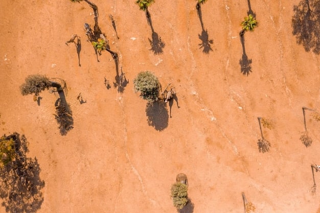 US Strategy to Combat Terrorism in the Sahel Region