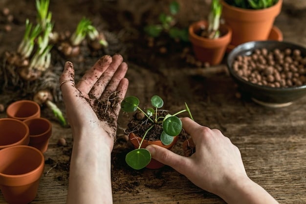 A close-up shot of hands planting a small tree seedling in fertile soil, with other seedlings and gardening tools visible in the background. The image emphasizes the concept of nurturing growth and sustainability.