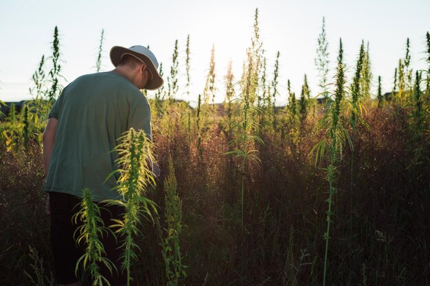 An image showing a field overrun with herbicide-resistant weeds, with a farmer looking concerned. The image highlights the challenges and concerns associated with the development of herbicide resistance.