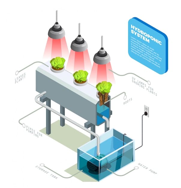 A detailed schematic diagram illustrating the process of direct air capture technology, showing the air intake, chemical absorption, CO2 separation, and the geological storage of the captured carbon.