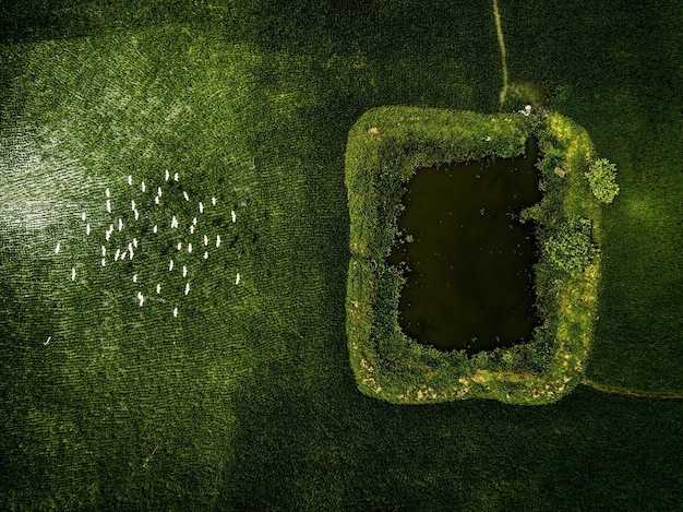 Water Conservation: Simple Ways US Households Can Reduce Consumption by 25%