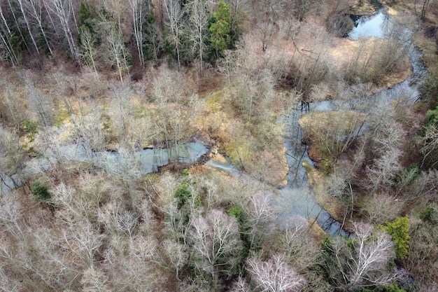 Aerial view of a river polluted with sediment from deforested areas. The water appears murky and discolored, contrasting sharply with the surrounding healthy forests. The image illustrates the direct link between deforestation and water quality degradation.