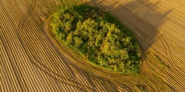 Sustainable Agriculture: US Farmers' Guide to Reduce Chemical Reliance - Cover Image