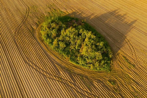 Sustainable Agriculture: US Farmers’ Guide to Reduce Chemical Reliance