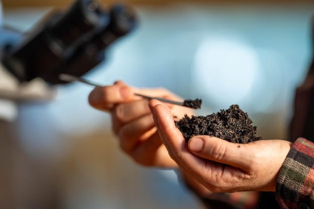 Close-up of soil being tested by a farmer, showcasing the importance of soil health in sustainable agriculture.