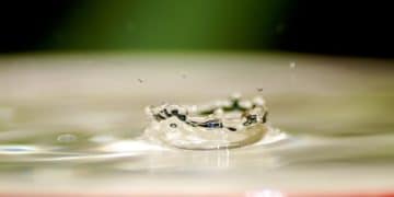 US Water Crisis: Practical Solutions to Cut Household Water Use by 15% - Cover Image