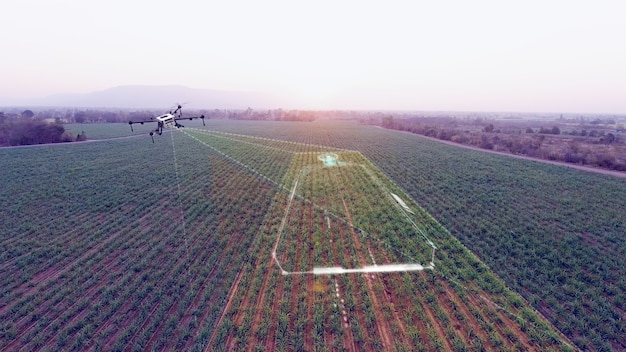 Precision Agriculture: Boosting Yields, Saving Earth