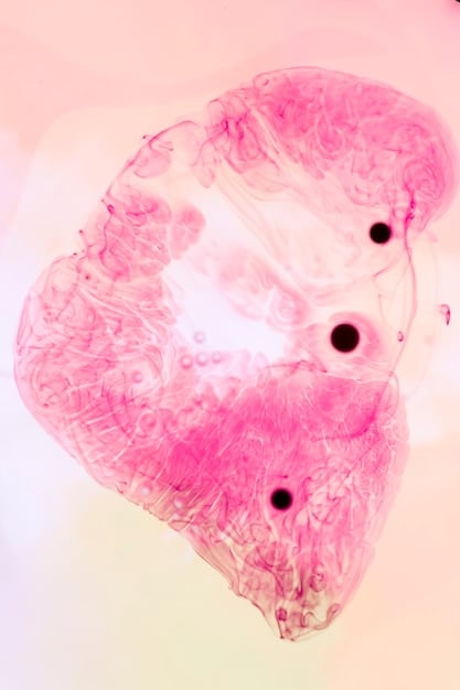 Microplastics inside human intestines or organs, depicted as small, irregular particles within biological tissue, to visualize internal exposure.