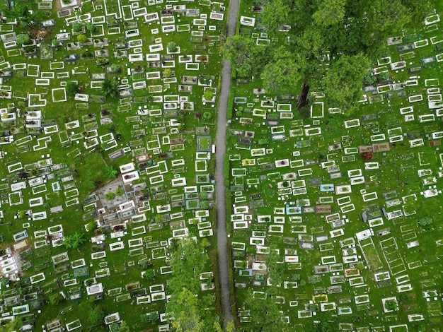 A bird's-eye view of a healthy, diverse forest adjacent to a rapidly expanding urban area, illustrating land conversion pressures.