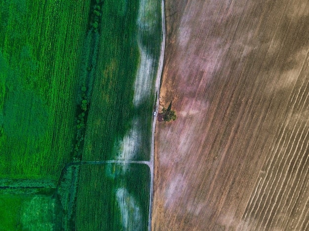 Soil Health: Carbon Sequestration & Crop Production Boost