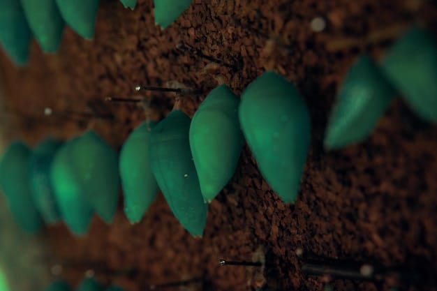 Close-up of a rich, dark earthworm-filled soil, with green plant roots intertwining, symbolizing vibrant soil biology and organic matter.
