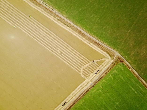 A drone's eye view of a diversified farm, showing distinct strips of cover crops, no-till fields, and integrated livestock, illustrating principles of regenerative agriculture.