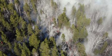 Wildfires' Long-Term Impact: Air Quality & US Public Health - Cover Image