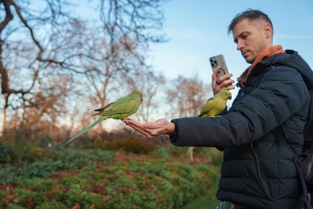 A person using a smartphone app to identify a bird species, with a pair of binoculars around their neck, in a lush green park.
