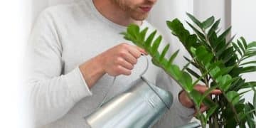 Sustainable Living: Practical Tips for Eco-Friendly Life - Cover Image
