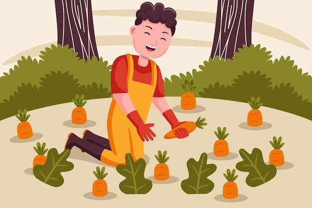 A farmer inspecting a field of slightly cosmetically imperfect but perfectly edible carrots, with a focus on their efforts to divert this produce from waste streams into secondary markets or processing.