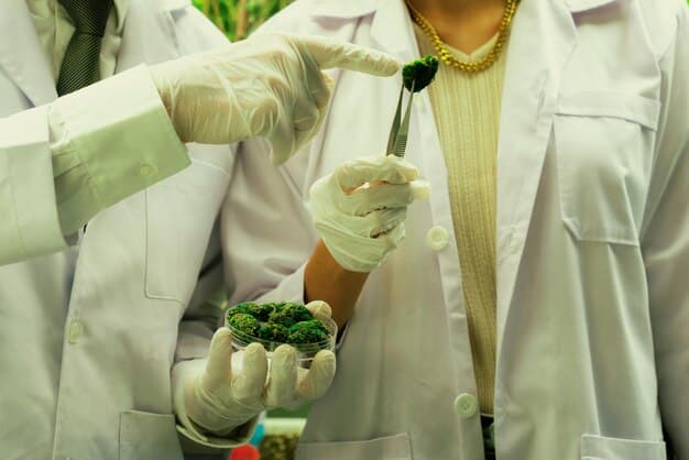 Understanding GMOs: Safety, Benefits, and Risks Explored