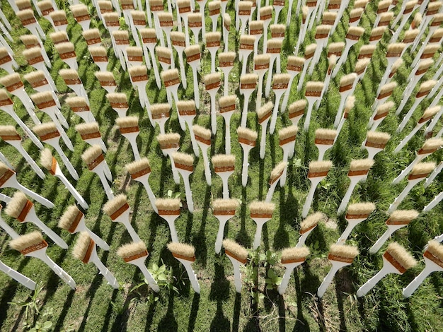 A healthy, vibrant field of genetically modified crops thriving, with strong stalks and abundant yields, surrounded by a diverse, thriving ecosystem.