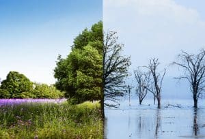 2°C Climate Rise