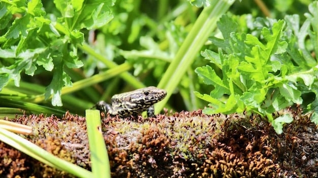 Boosting Soil Health for Sustainable US Agriculture
