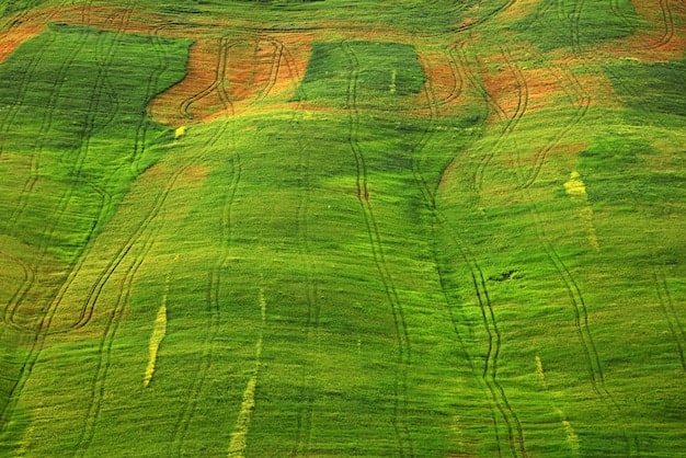 A satellite view of a US agricultural landscape showing areas with different shades of green, indicating varying levels of crop health and potentially, soil health.